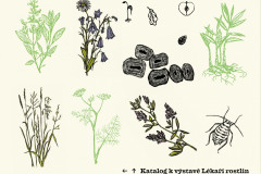 lekari-rostlin2